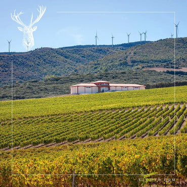 El Coto De Imaz Rioja Gran Reserva - Latitude Wine & Liquor Merchant