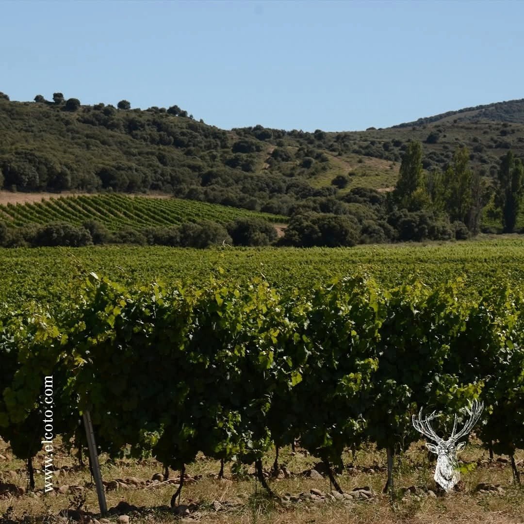 El Coto De Imaz Rioja Gran Reserva - Latitude Wine & Liquor Merchant