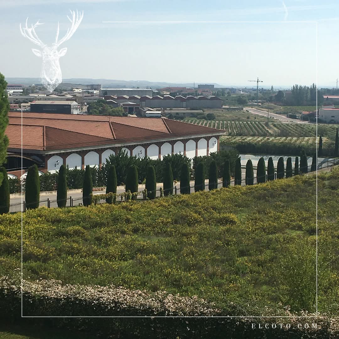 El Coto De Imaz Rioja Gran Reserva - Latitude Wine & Liquor Merchant