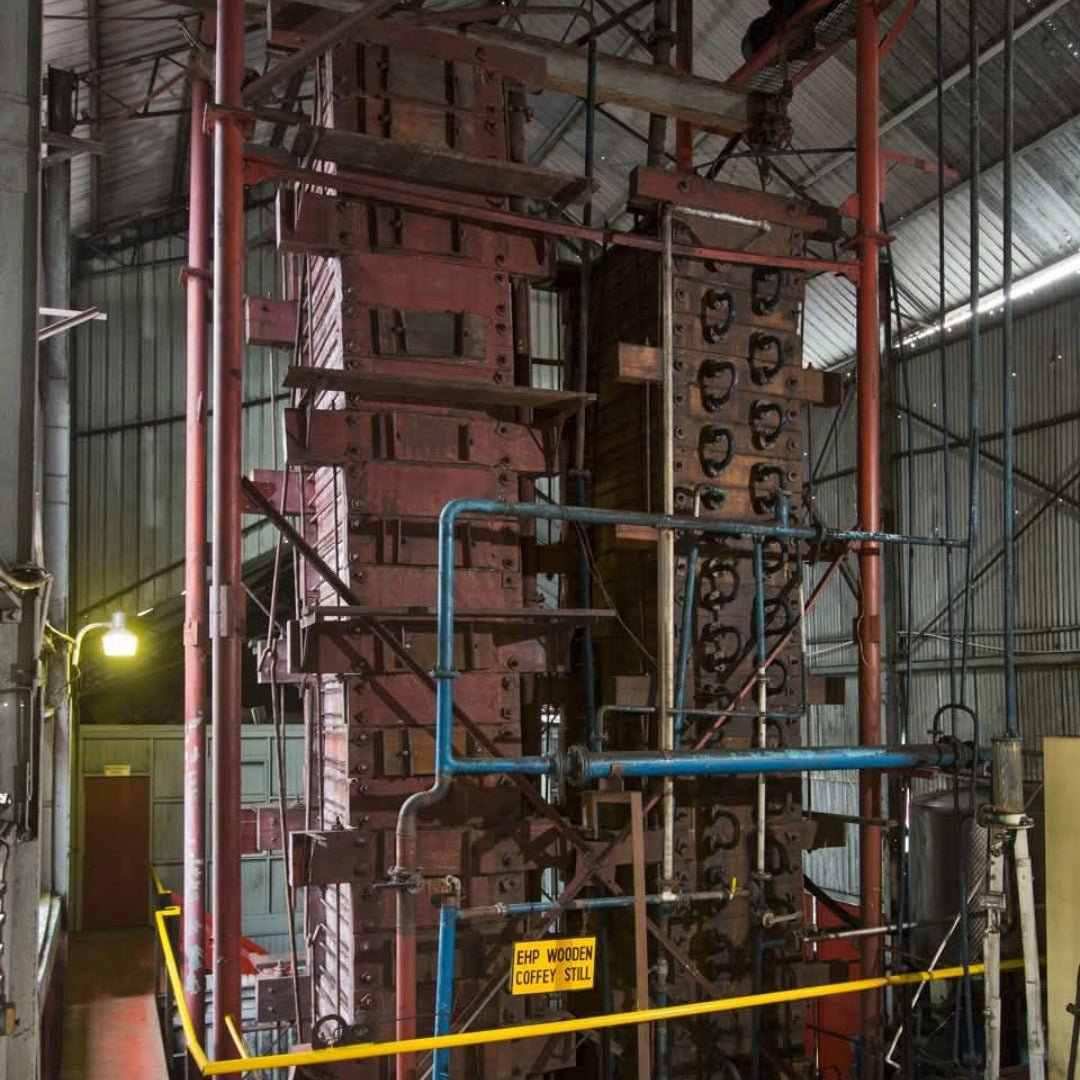 El Dorado 8yo - Latitude Wine & Liquor Merchant