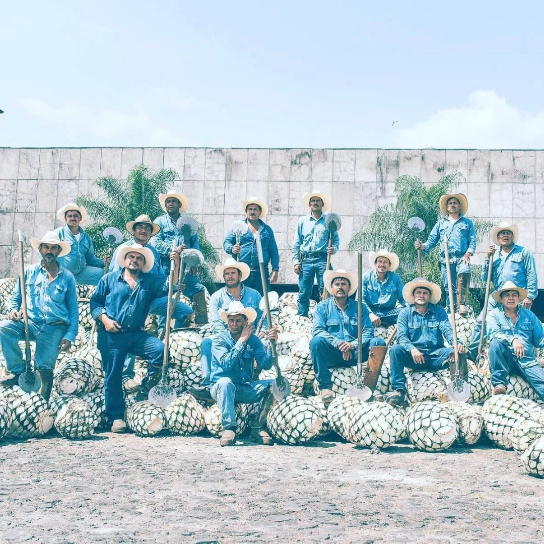 El Jimador Blanco Tequila