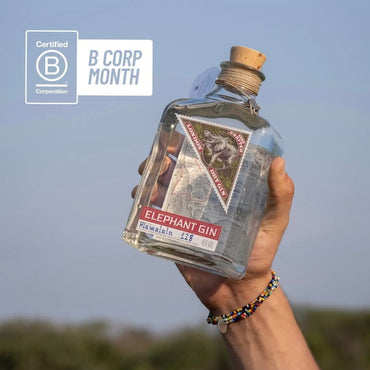 Elephant London Dry 50cl - Latitude Wine & Liquor Merchant