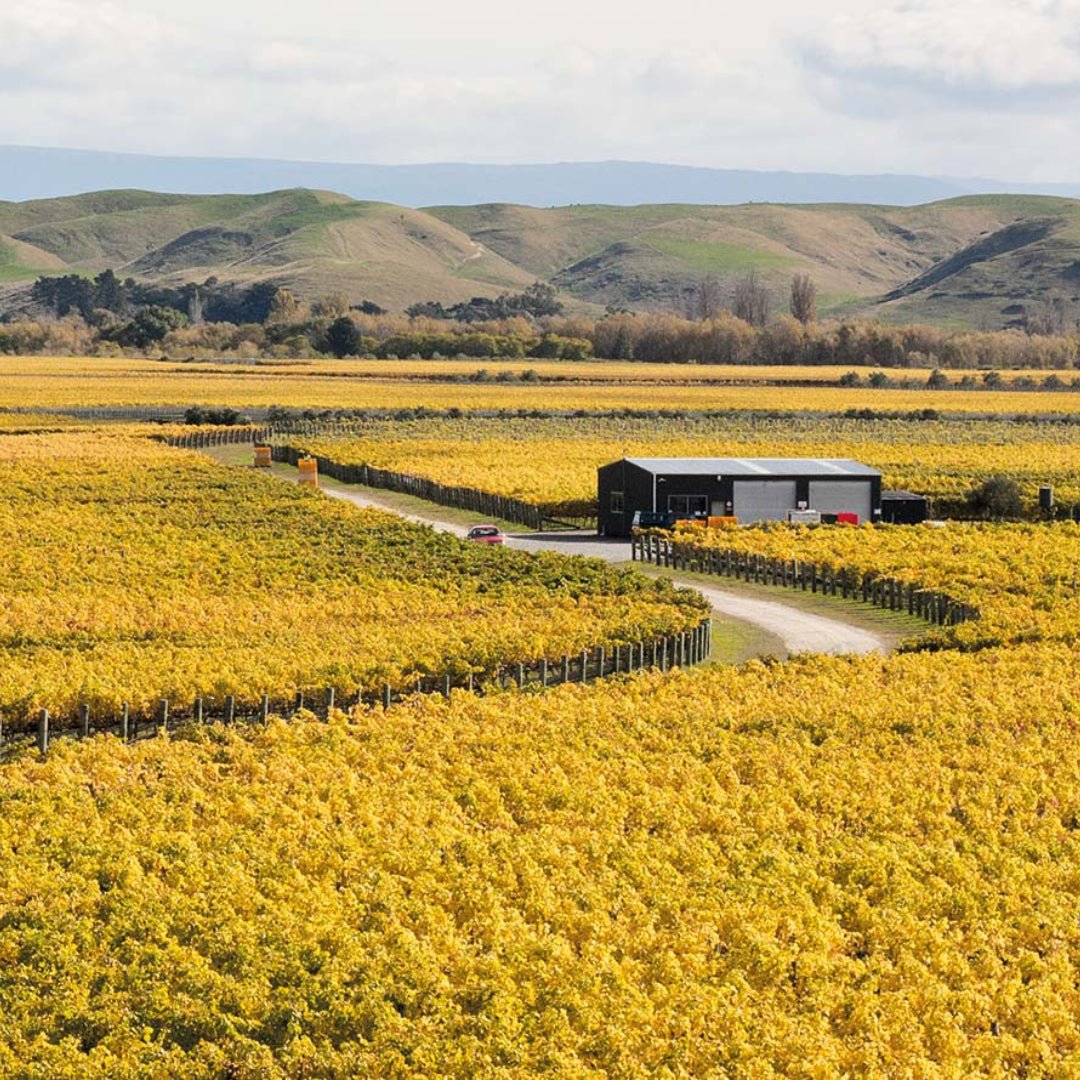 Esk Valley Sauvignon Blanc - Latitude Wine & Liquor Merchant