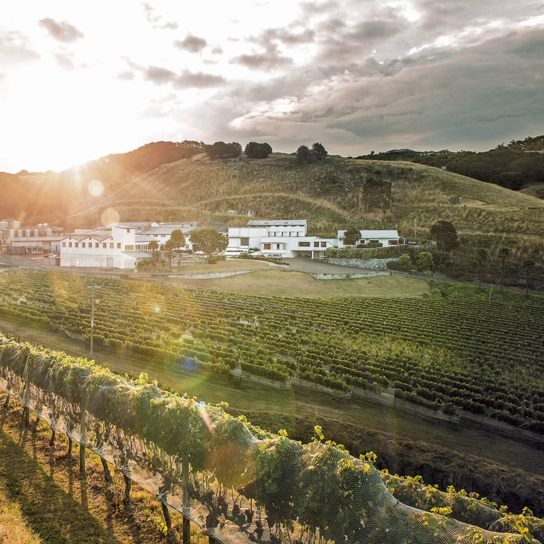 Esk Valley Sauvignon Blanc