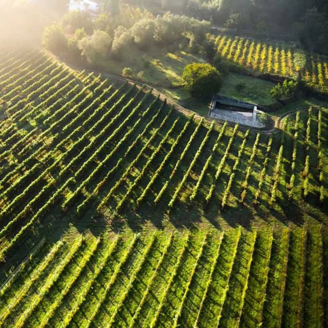 Este Vinhao Tinto - Latitude Wine & Liquor Merchant