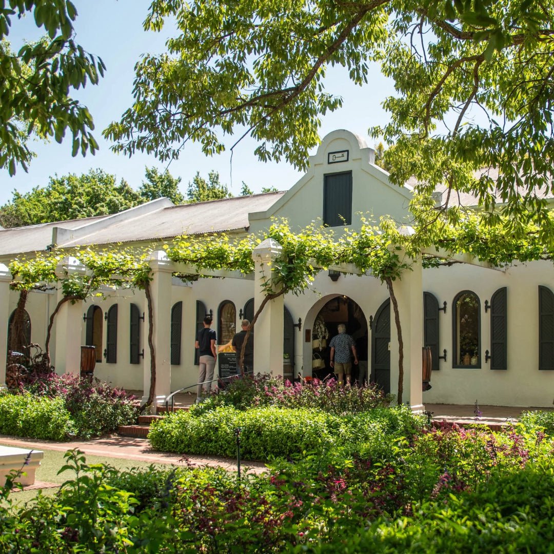 Fairview Pinotage - Latitude Wine & Liquor Merchant