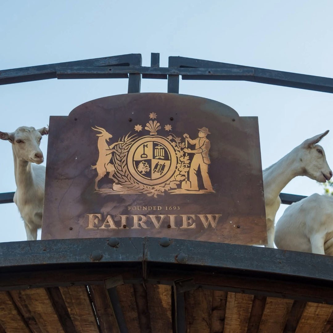 Fairview Pinotage - Latitude Wine & Liquor Merchant