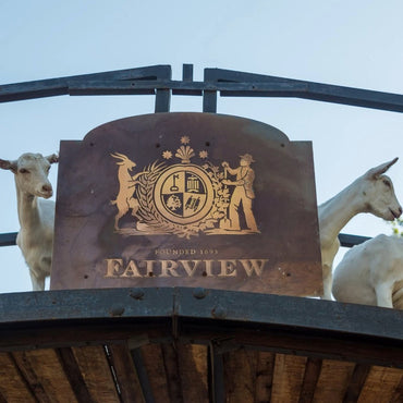 Fairview Pinotage - Latitude Wine & Liquor Merchant