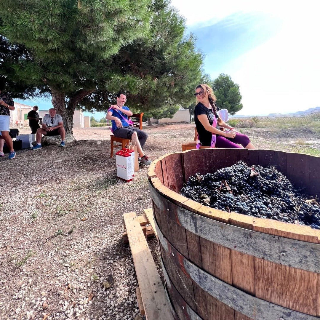 Familia Castano Hecula Organic Monastrell - Latitude Wine & Liquor Merchant