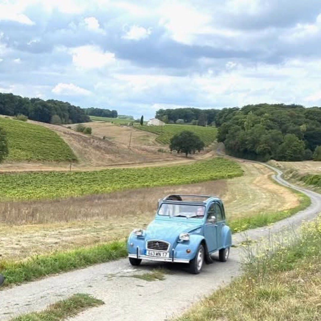 Fanny Fougerat Cedre Blanc Extra Old - Latitude Wine & Liquor Merchant