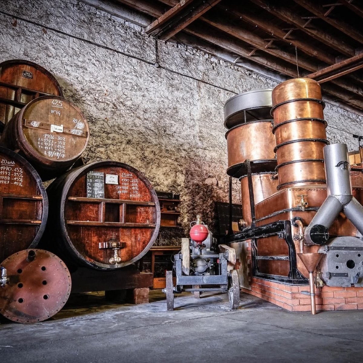 Fanny Fougerat Cedre Blanc Extra Old - Latitude Wine & Liquor Merchant