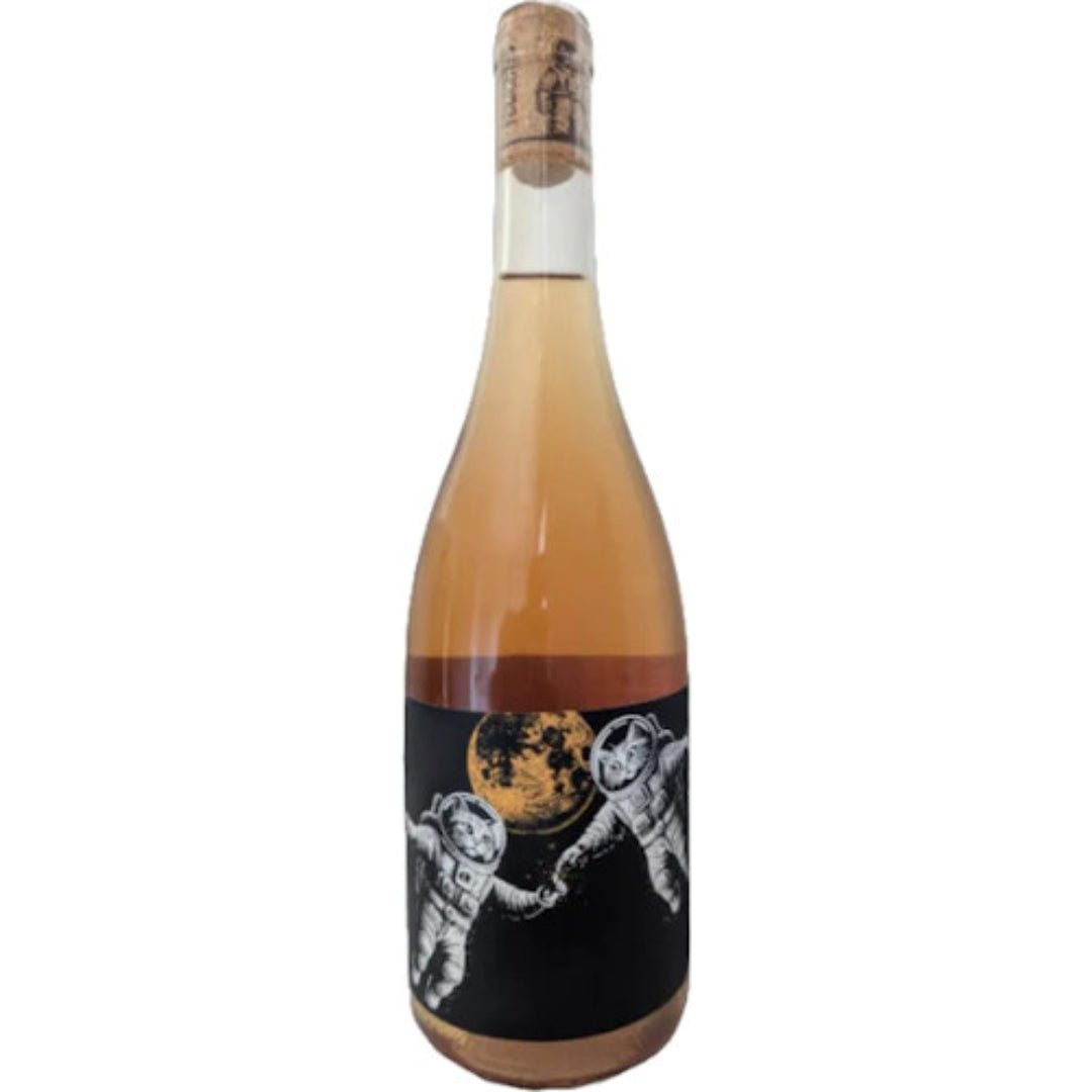 Felicette First Contact Orange - Latitude Wine & Liquor Merchant