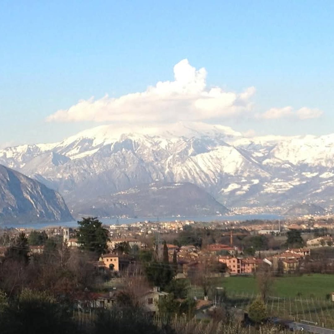 Ferghettina Franciacorta Brut - Latitude Wine & Liquor Merchant