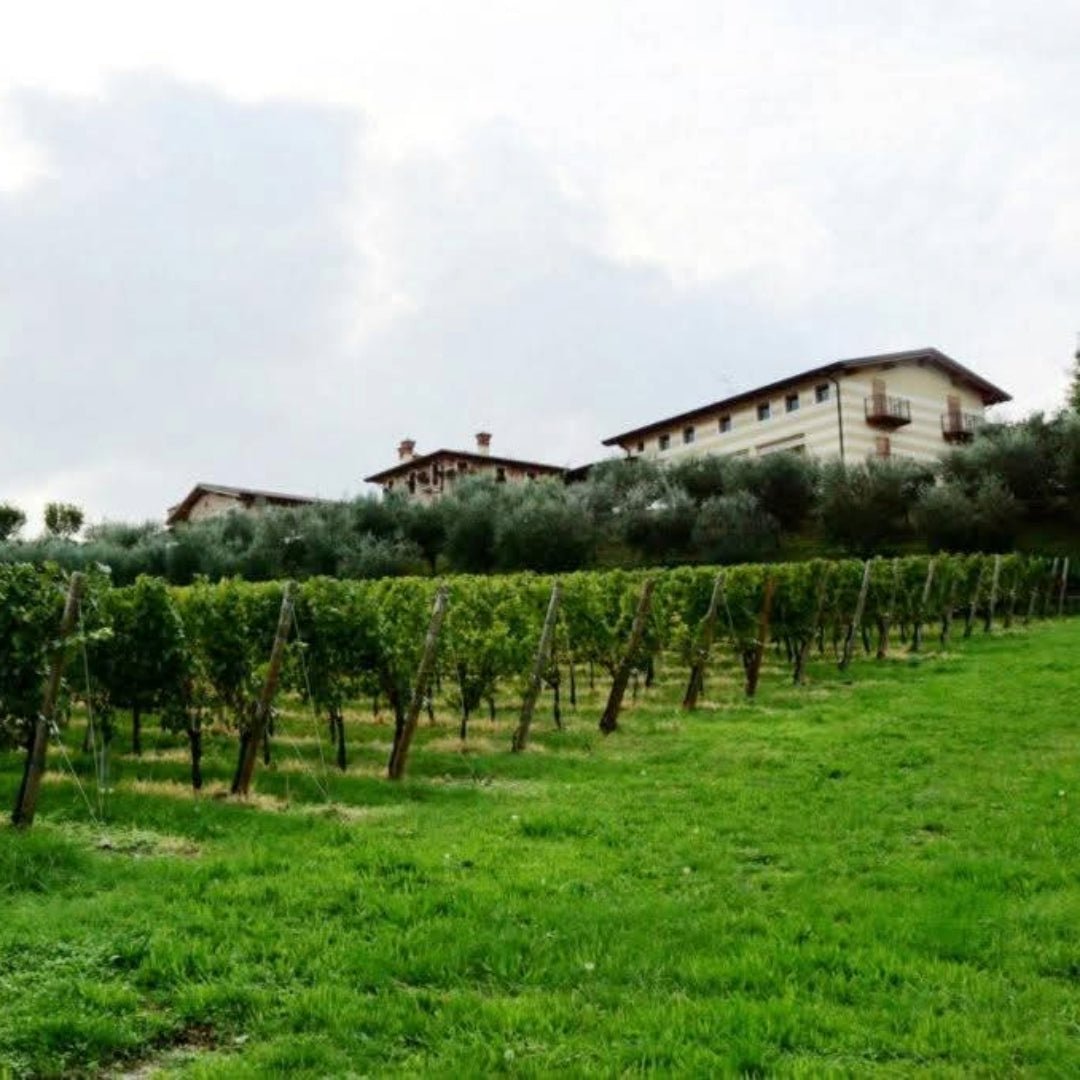 Ferghettina Franciacorta Brut - Latitude Wine & Liquor Merchant