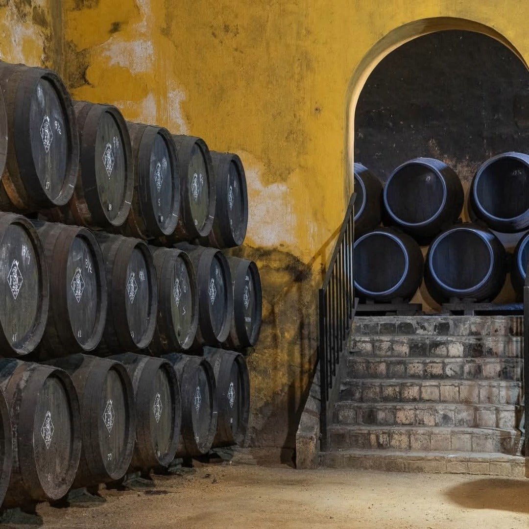 Fernando de Castilla Classic Oloroso - Latitude Wine & Liquor Merchant