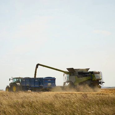 Filey Bay Porter Cask - Latitude Wine & Liquor Merchant