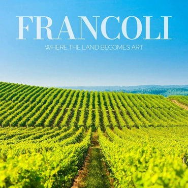 Fiorente Elderflower Liqueur - Latitude Wine & Liquor Merchant