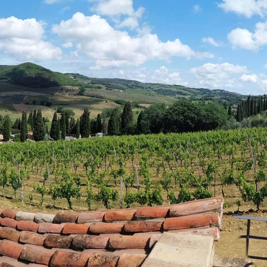 Flavio Fanti La Palazzetta Brunello Di Montalcino - Latitude Wine & Liquor Merchant