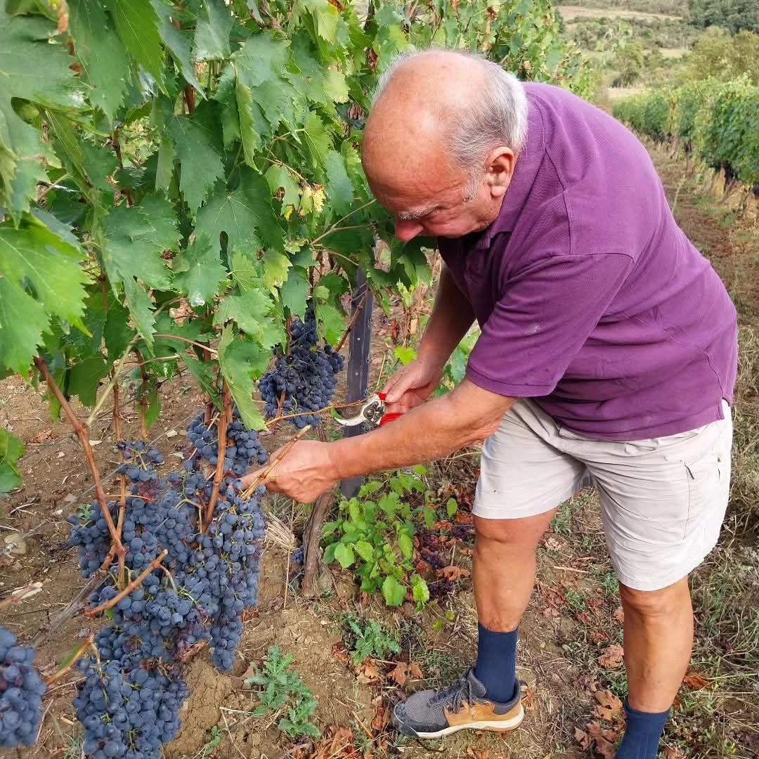 Flavio Fanti La Palazzetta Brunello Di Montalcino - Latitude Wine & Liquor Merchant