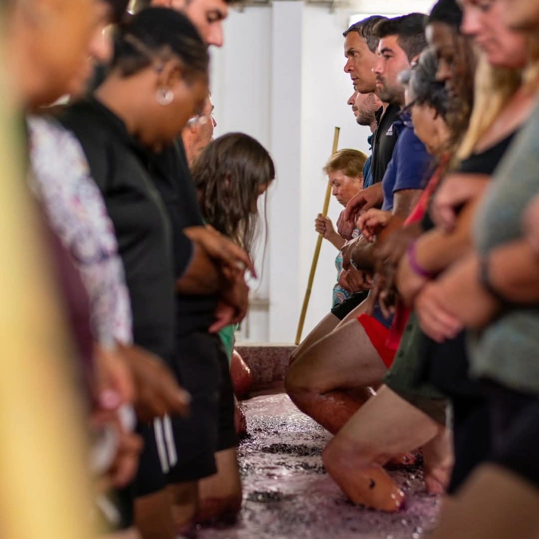 Fonseca 2016 Vintage - Latitude Wine & Liquor Merchant