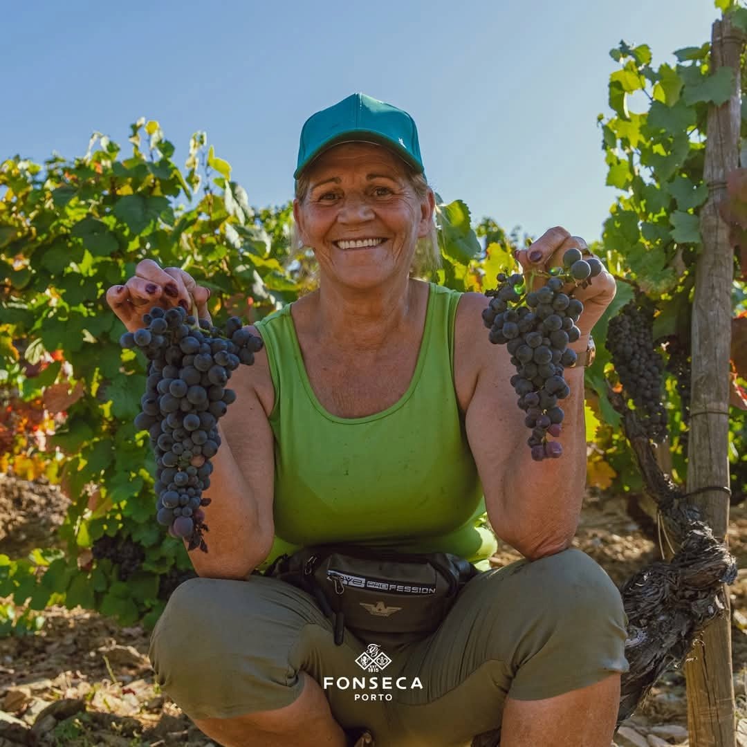 Fonseca 2016 Vintage - Latitude Wine & Liquor Merchant