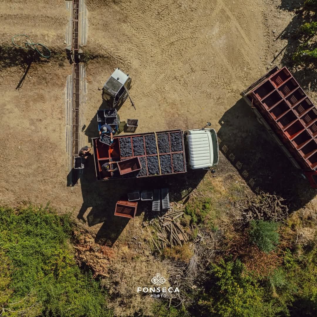 Fonseca 2016 Vintage - Latitude Wine & Liquor Merchant