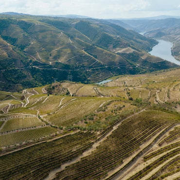 Fonseca 2016 Vintage - Latitude Wine & Liquor Merchant