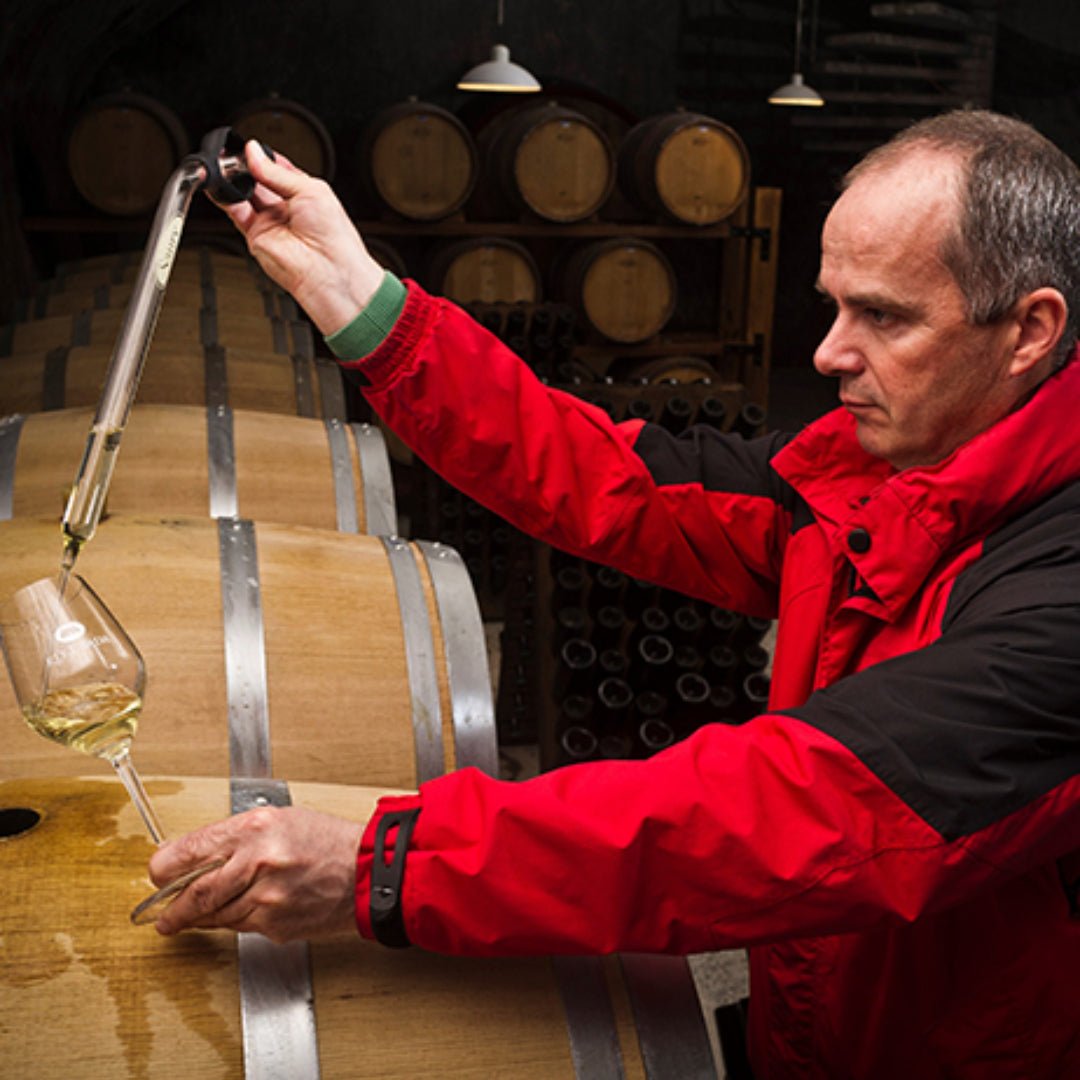 Gasper Chardonnay Rebula
