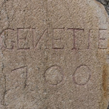 Genetie Bourgogne Blanc Illumine - Latitude Wine & Liquor Merchant