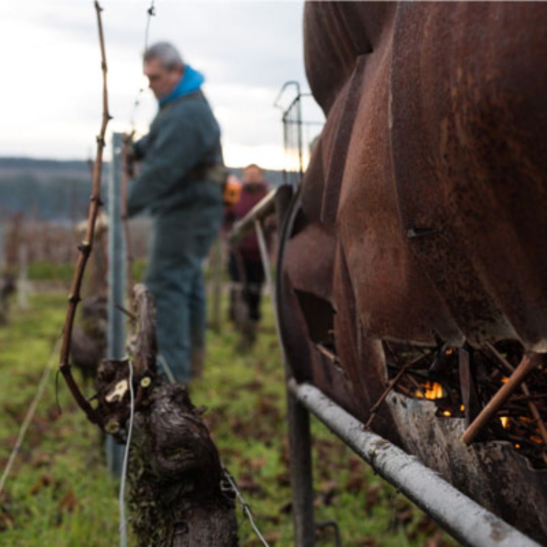Gerard Thomas St Aubin - Latitude Wine & Liquor Merchant
