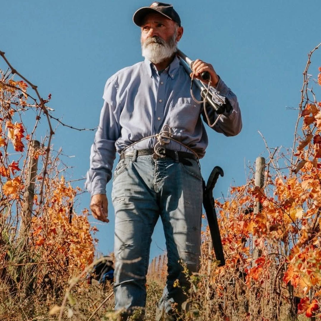 Gianni Masciarelli Montepulciano D'Abruzzo - Latitude Wine & Liquor Merchant