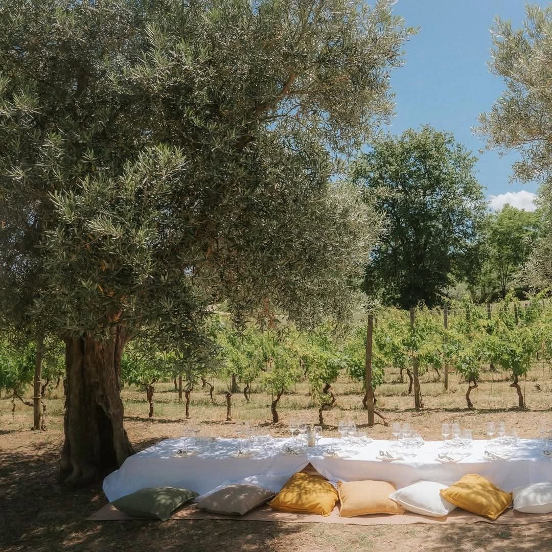 Gianni Masciarelli Montepulciano D'Abruzzo - Latitude Wine & Liquor Merchant