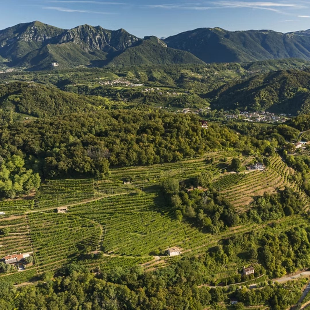 Giavi Rive Di Ogliano Prosecco Brut Nature - Latitude Wine & Liquor Merchant