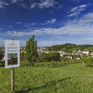 Giavi Rive Di Ogliano Prosecco Brut Nature - Latitude Wine & Liquor Merchant