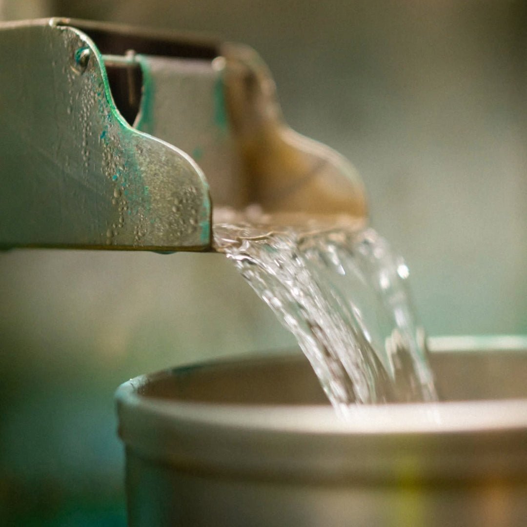 Glencadam Madeira Cask Finish - Latitude Wine & Liquor Merchant