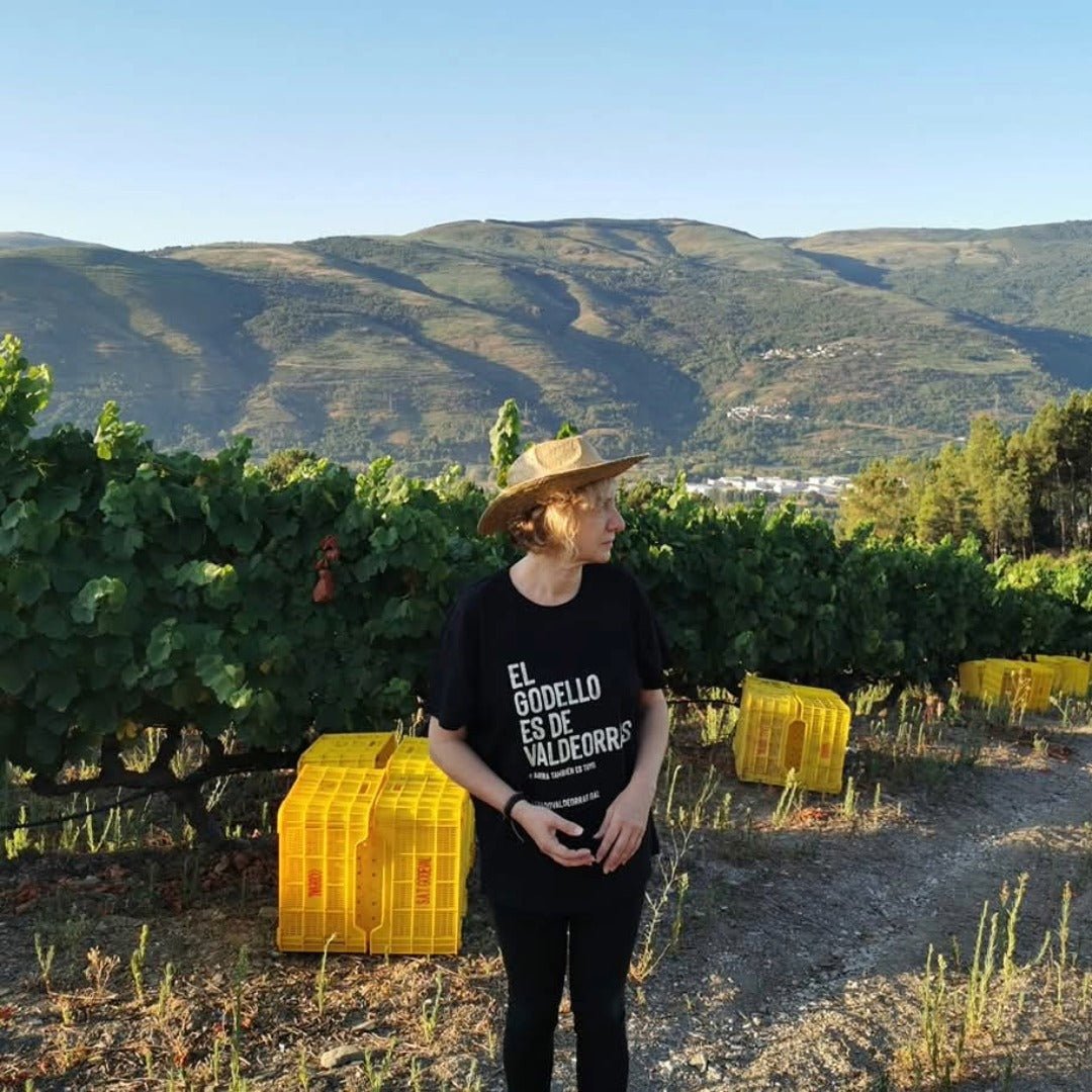 Godeval Godello Blanco - Latitude Wine & Liquor Merchant