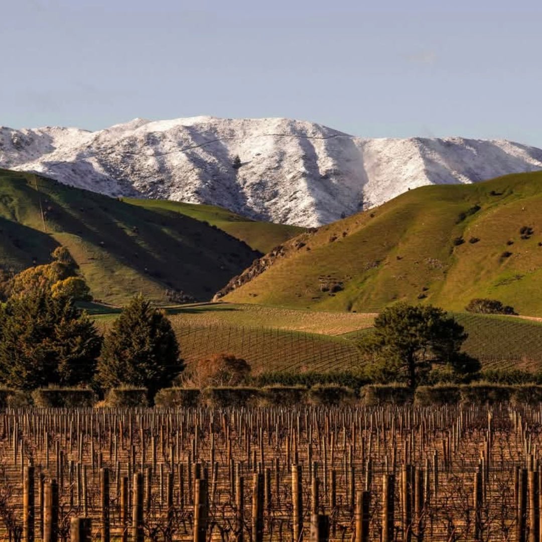 Greywacke Riesling - Latitude Wine & Liquor Merchant