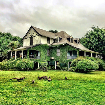 Hampden Estate HLCF 4yo Classic Overproof - Latitude Wine & Liquor Merchant