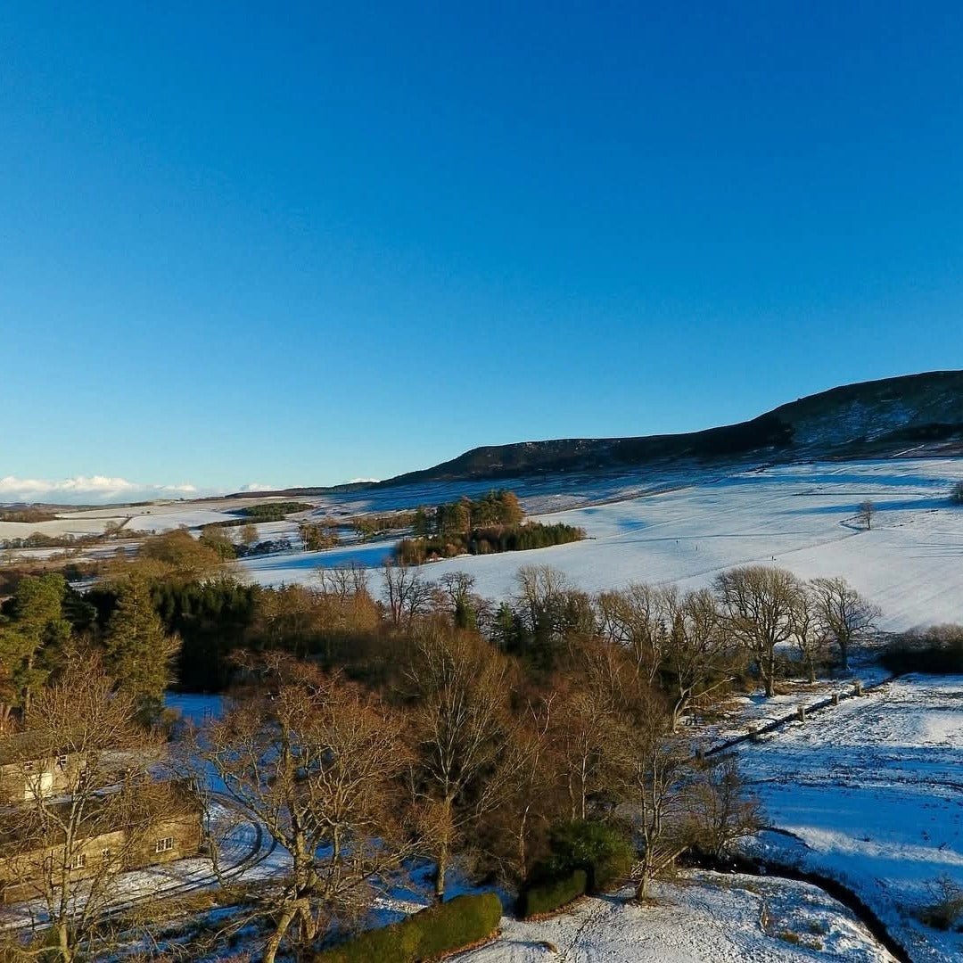 Hepple Sloe & Hawthorn Gin 50cl - Latitude Wine & Liquor Merchant