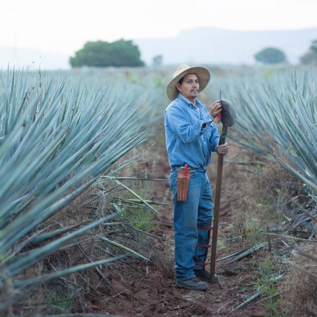 Herradura Anejo - Latitude Wine & Liquor Merchant