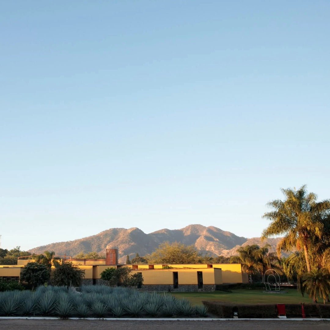 Herradura Anejo - Latitude Wine & Liquor Merchant