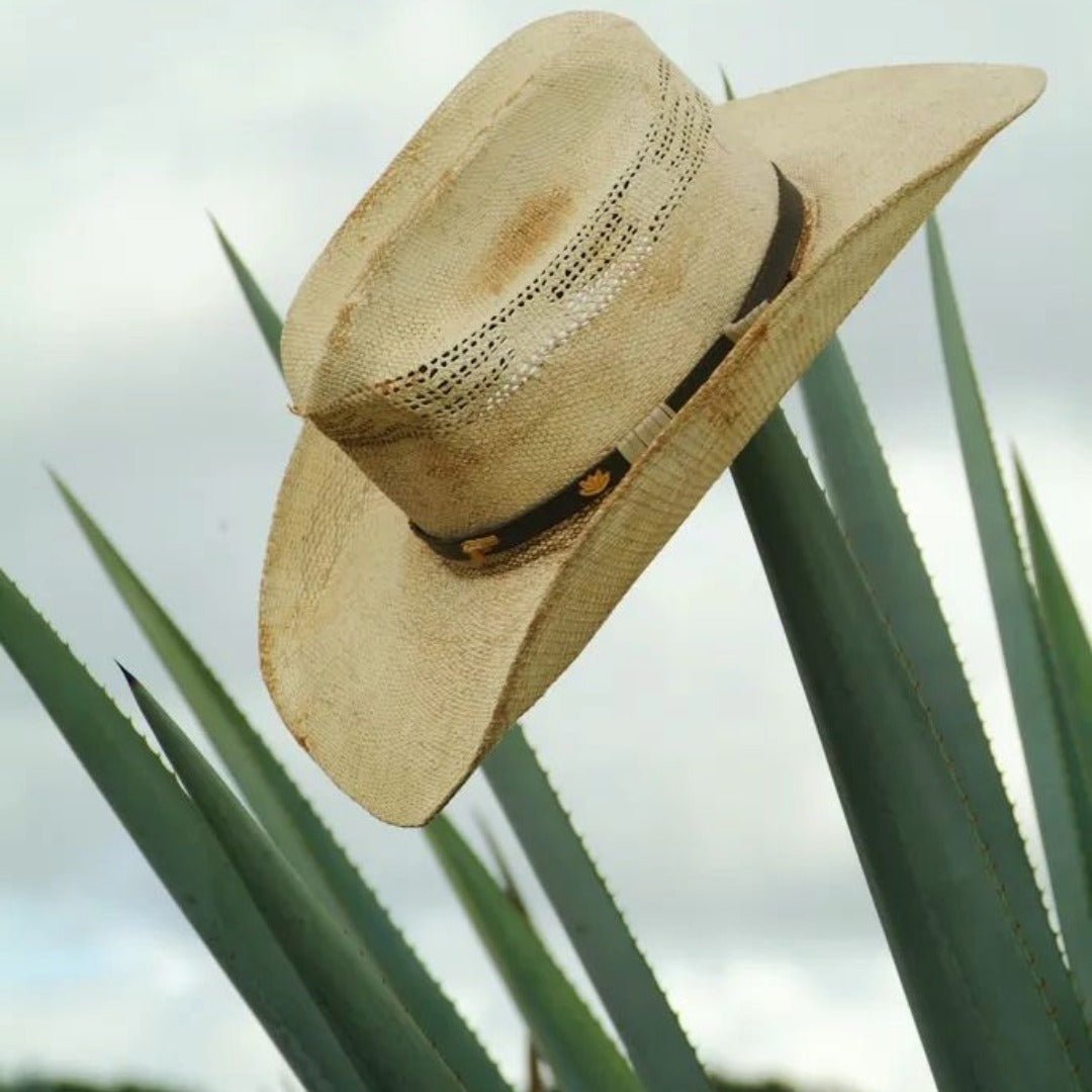 Herradura Anejo - Latitude Wine & Liquor Merchant