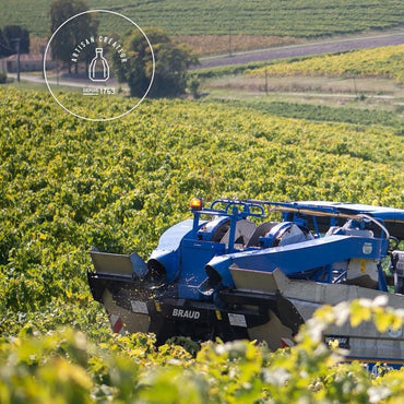 Hine Bonneuil 2006 - Latitude Wine & Liquor Merchant