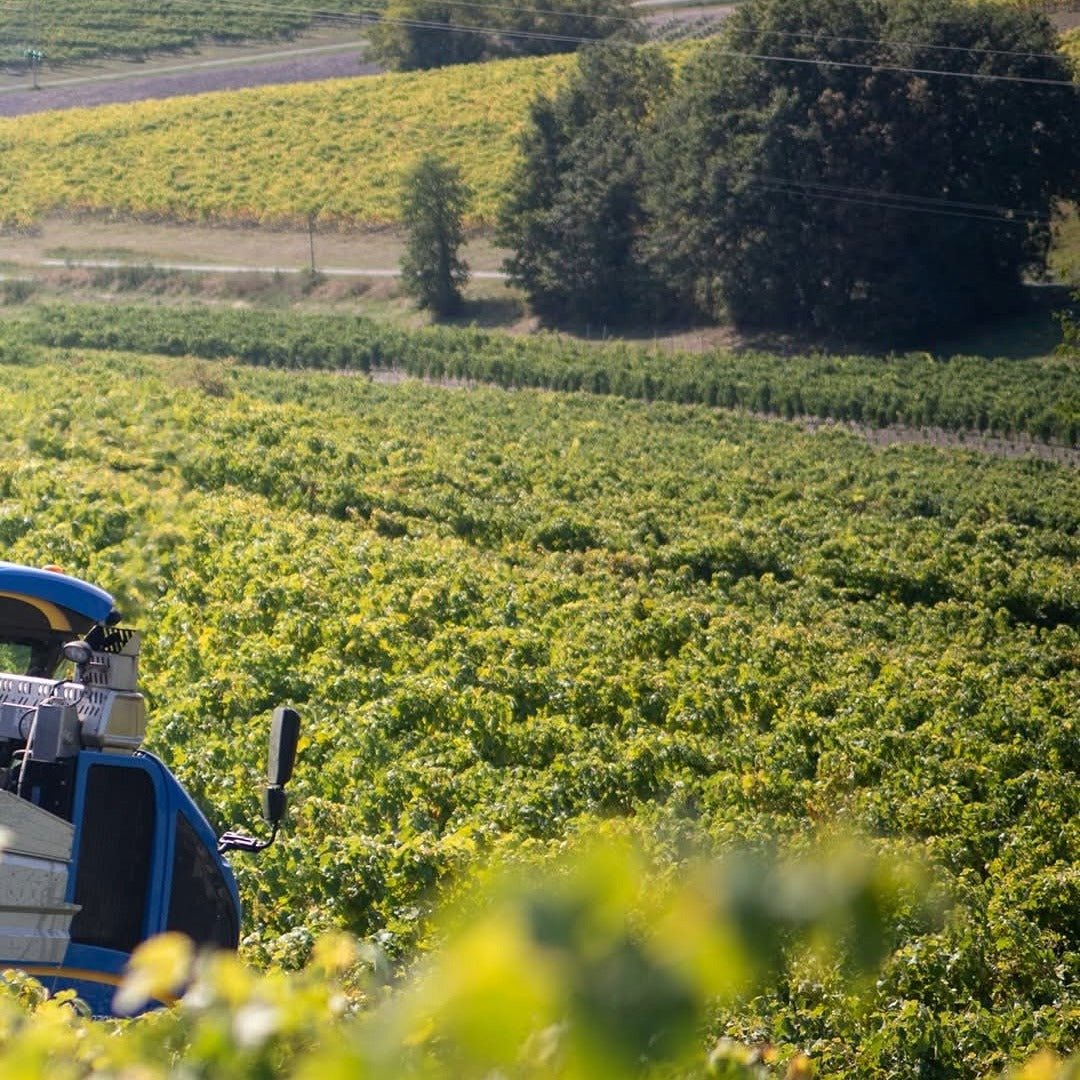 Hine Bonneuil 2006 - Latitude Wine & Liquor Merchant