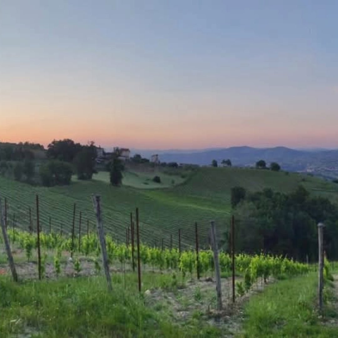 I Capitani Fiano Di Avellino - Latitude Wine & Liquor Merchant