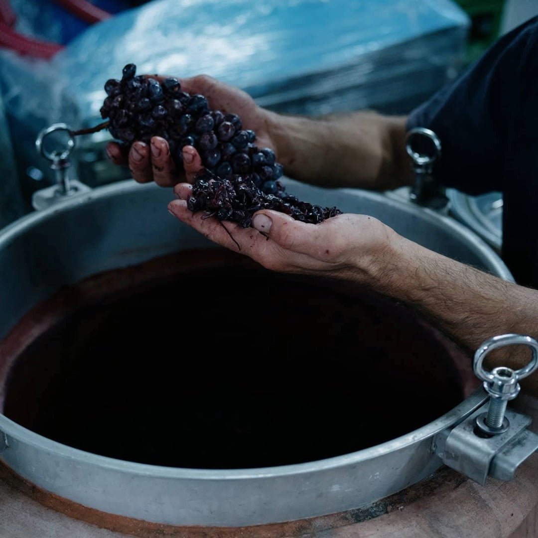 I Forestieri Girotondo Toscana Rosso - Latitude Wine & Liquor Merchant
