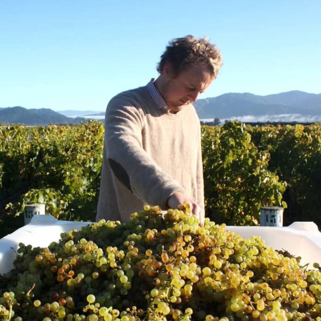 Isabel Estates Pinot Noir