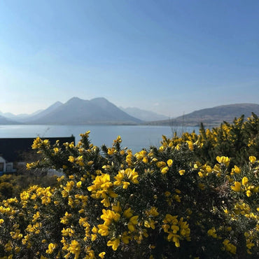 Isle Of Raasay Cask Strength Single Malt - Latitude Wine & Liquor Merchant