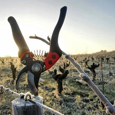 Jeremie Huchet Chapeau Melon Rouge - Latitude Wine & Liquor Merchant