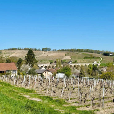 Joseph Mellot Sancerre La Chatellenie Silex - Latitude Wine & Liquor Merchant